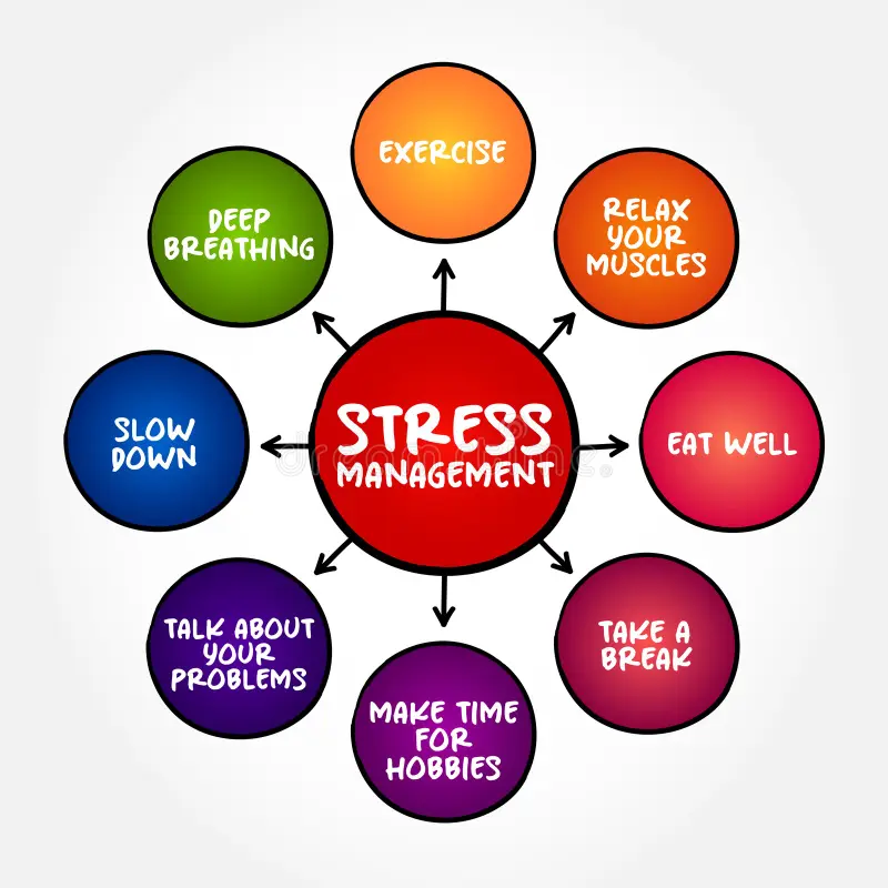Finding Calm in the Chaos: A Practical Guide to Stress Management.