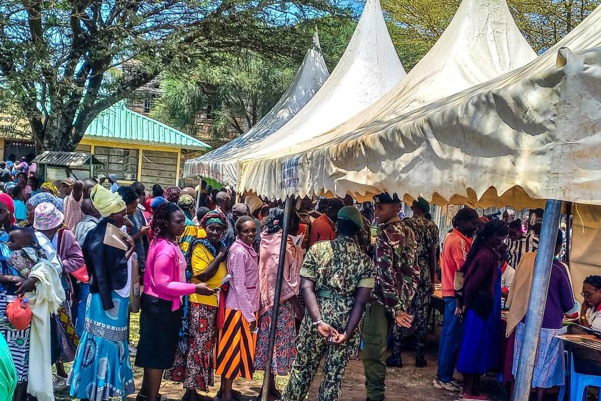 Why Kenya needs a professional public service