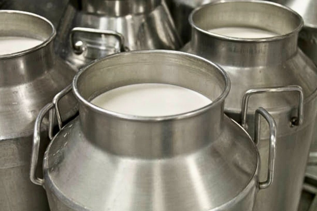 Milk Shortage Puts Kenyan Households Under Pressure